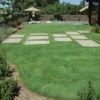 UC Verde® Buffalo Grass Plugs 1 UC Verde® Buffalo Grass Plugs -Daily Garden Joy Shop 27058 buffalo grass verde
