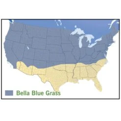 Bella™ Bluegrass Grass Plugs -Daily Garden Joy Shop bella blue grass map