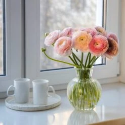 Pastel Ranunculus Mix 7 Pastel Ranunculus Mix -Daily Garden Joy Shop pastel ranunculus mix pastel persian buttercup mix window still vase